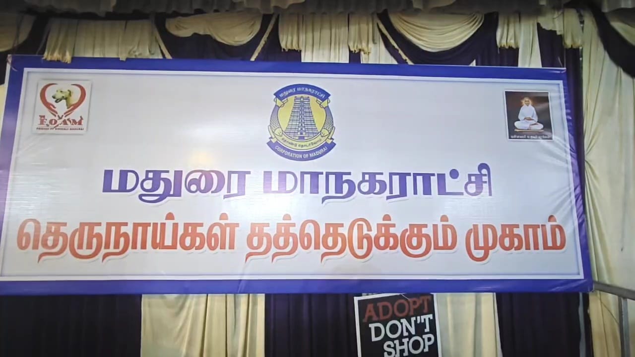 தெரு நாய்கள் தத்தெடுக்கும் முகாம்..,