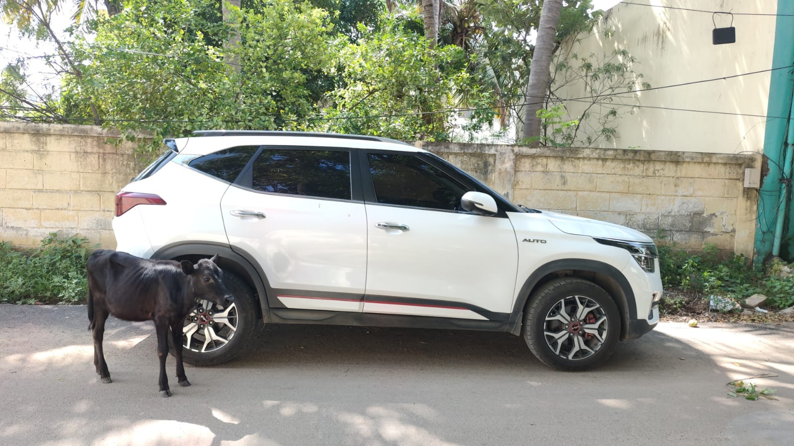 கார் டயர்களை திருடி சென்ற திருடர்கள் விசாரணை..,