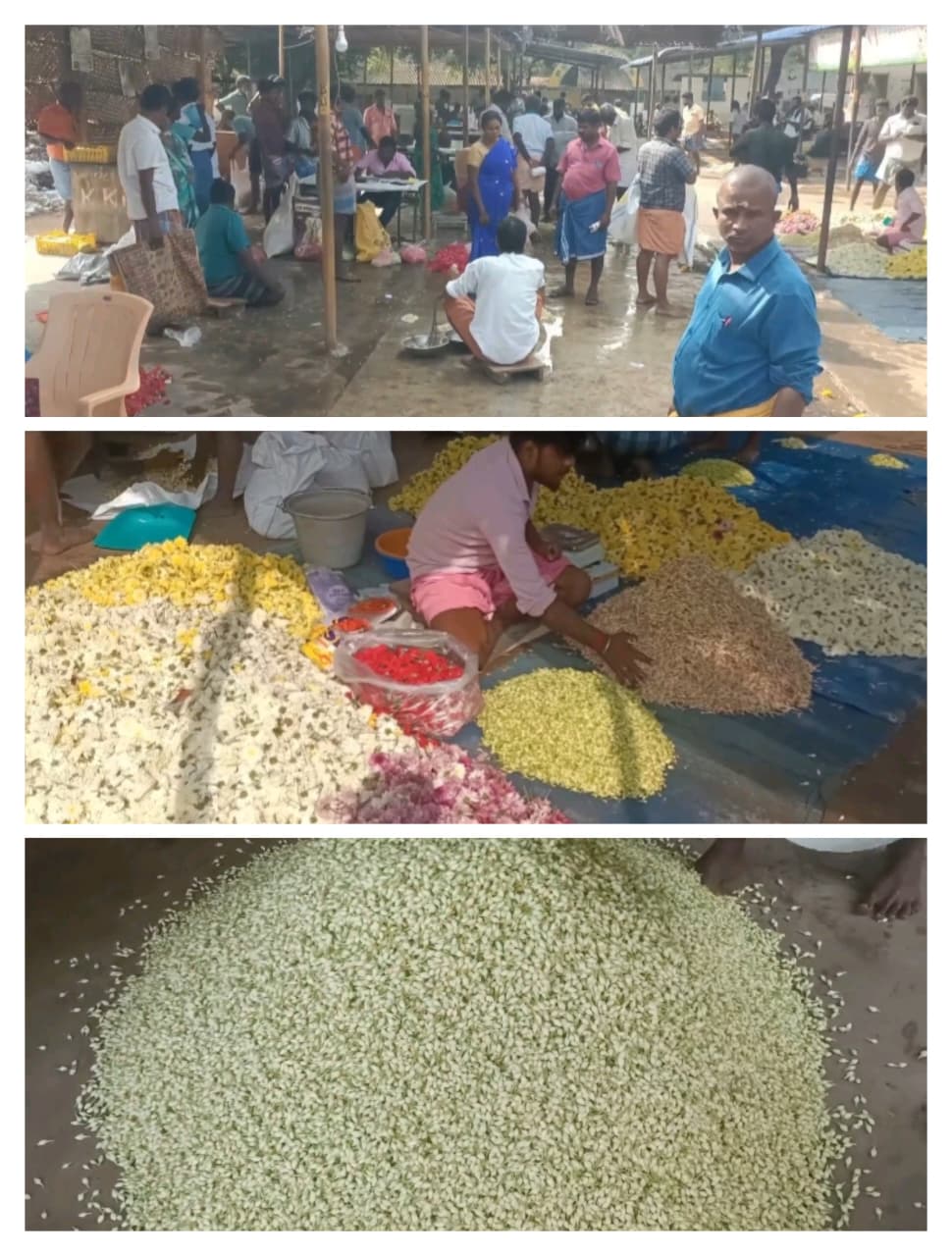 பூக்களின் விலை  உயர்ந்து மல்லிகை 2 ஆயிரம் ரூபாய்க்கு விற்பனை..,