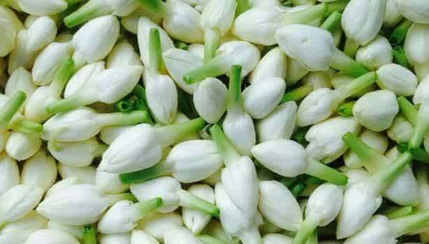 வரலாறு காணாத அளவில் பூக்கள் விலை ஏற்றம்..,