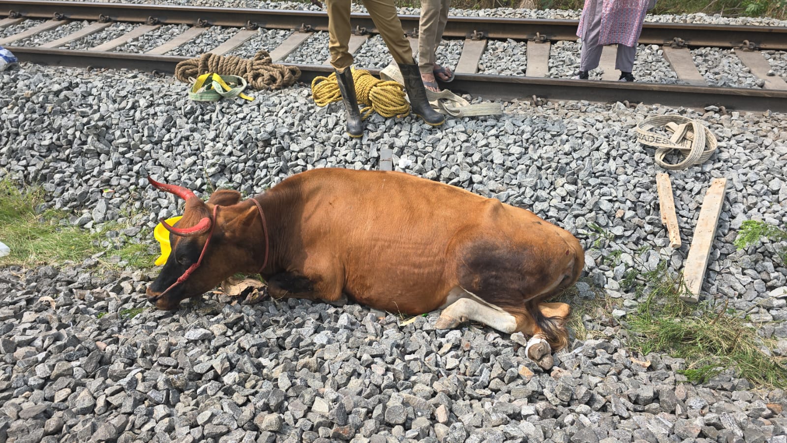 கோவையில் தண்டவாளத்தில் விபத்து!