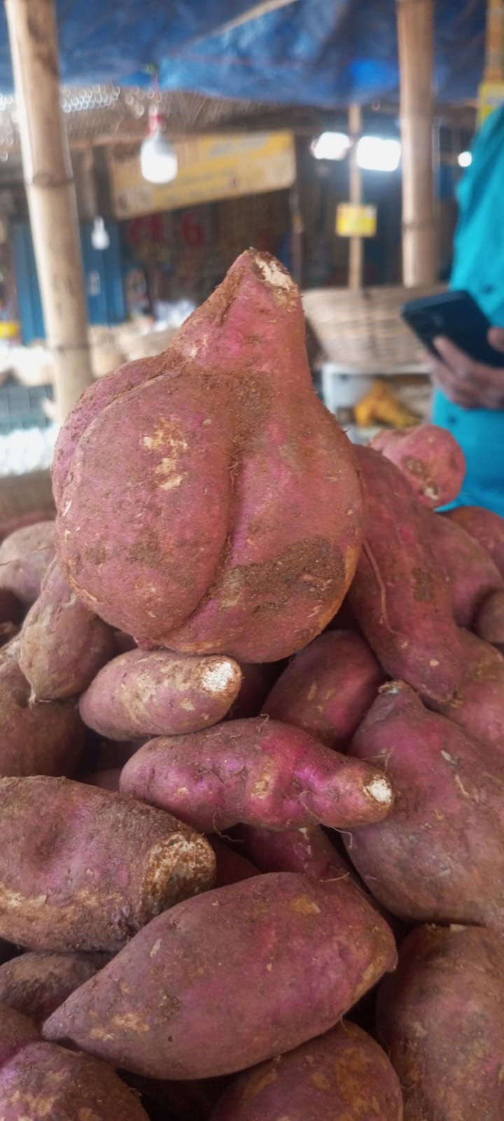 சிவ ராத்திரி முன்னிட்டு சீனி கிழங்கு விற்பனை..,