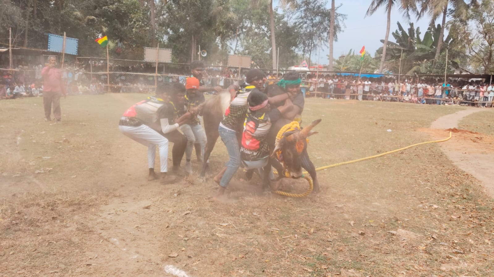 மாங்கோட்டை கிராமத்தில் வடமாடு ஜல்லிக்கட்டு நிகழ்ச்சி..,