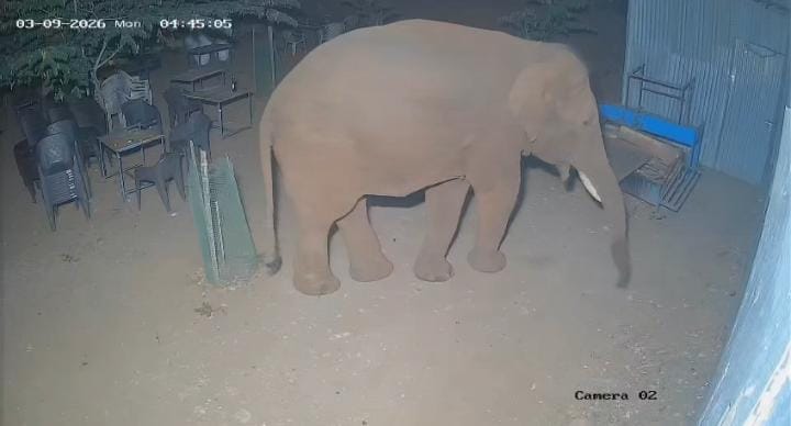 டாஸ்மாக் கடையை சேதப்படுத்திய காட்டுயானை!!உயிர் தப்பிய பணியாளர்..,