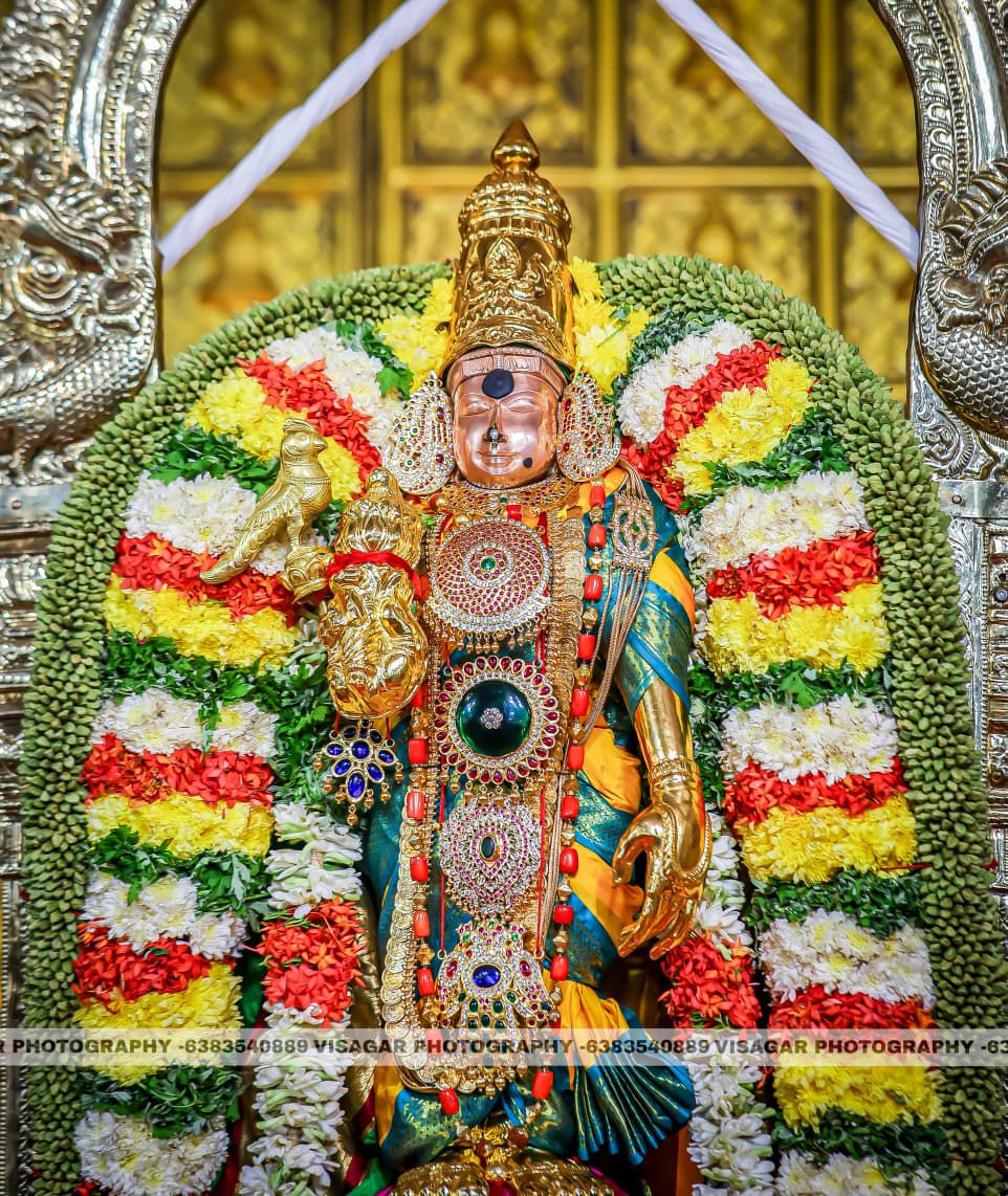 மீனாட்சியம்மன்கோவில் மீனாட்சியம்மன் திருக்கல்யாணம்..,