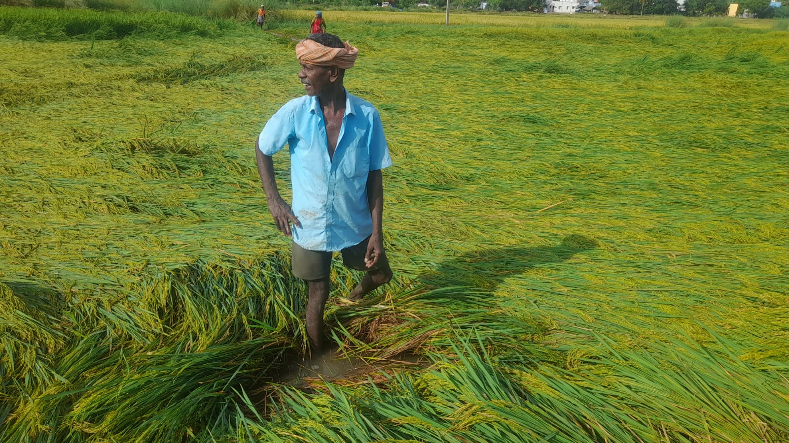 பயிர் கடன் முழுவதையும் தள்ளுபடி செய்ய விவசாயிகள் கோரிக்கை..,