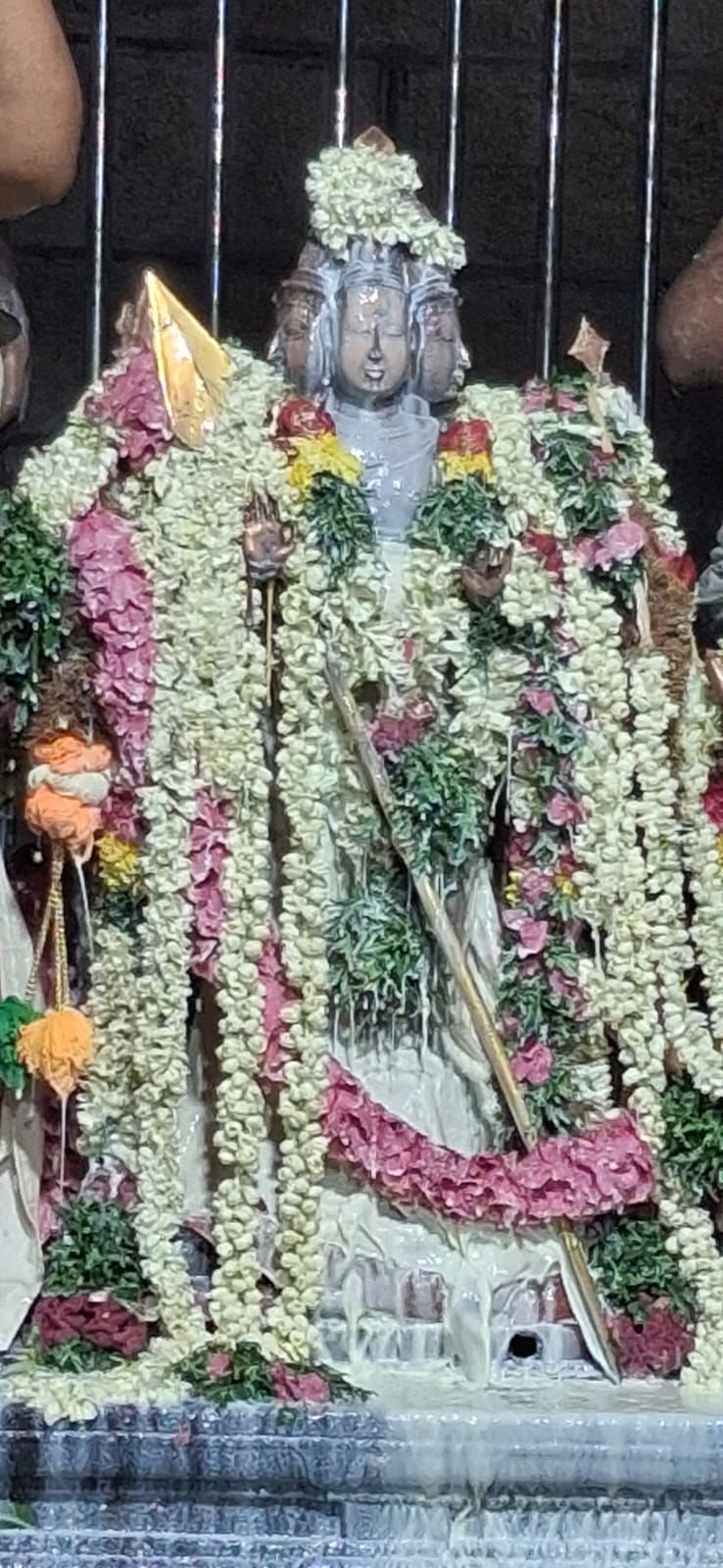 சுப்பிரமணிய சுவாமி திருக்கோவிலில் வைகாசி விசாகத்தை முன்னிட்டு பால்குட விழா..,