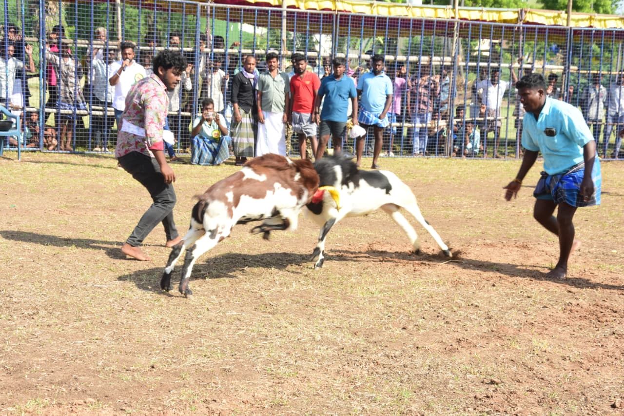 வெங்கலநாதமுடைய அய்யனார் கோவில் உற்சவ திருவிழா..,