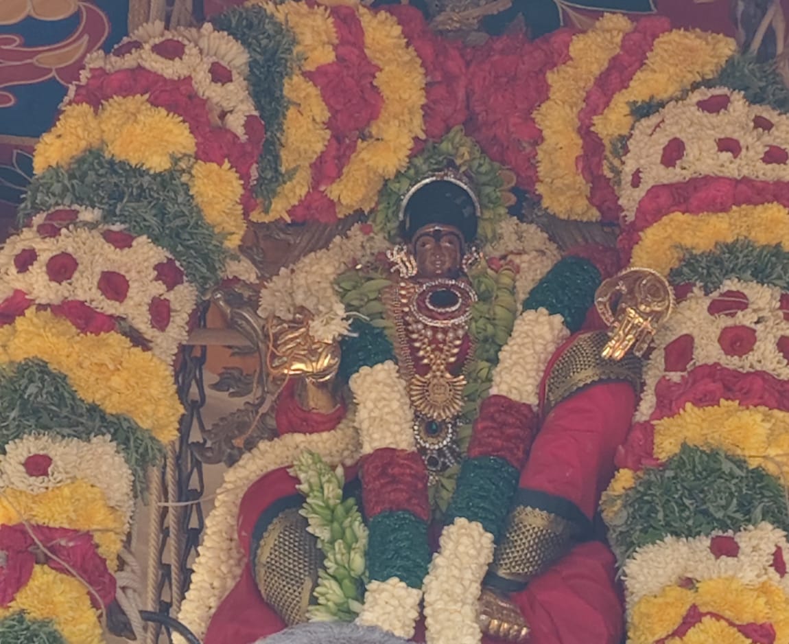 மாயூரநாத சுவாமி திருக்கோவில் திருக்கல்யாணம் மற்றும் ஆனிப் பெருந்திருவிழா தேரோட்டம்..,