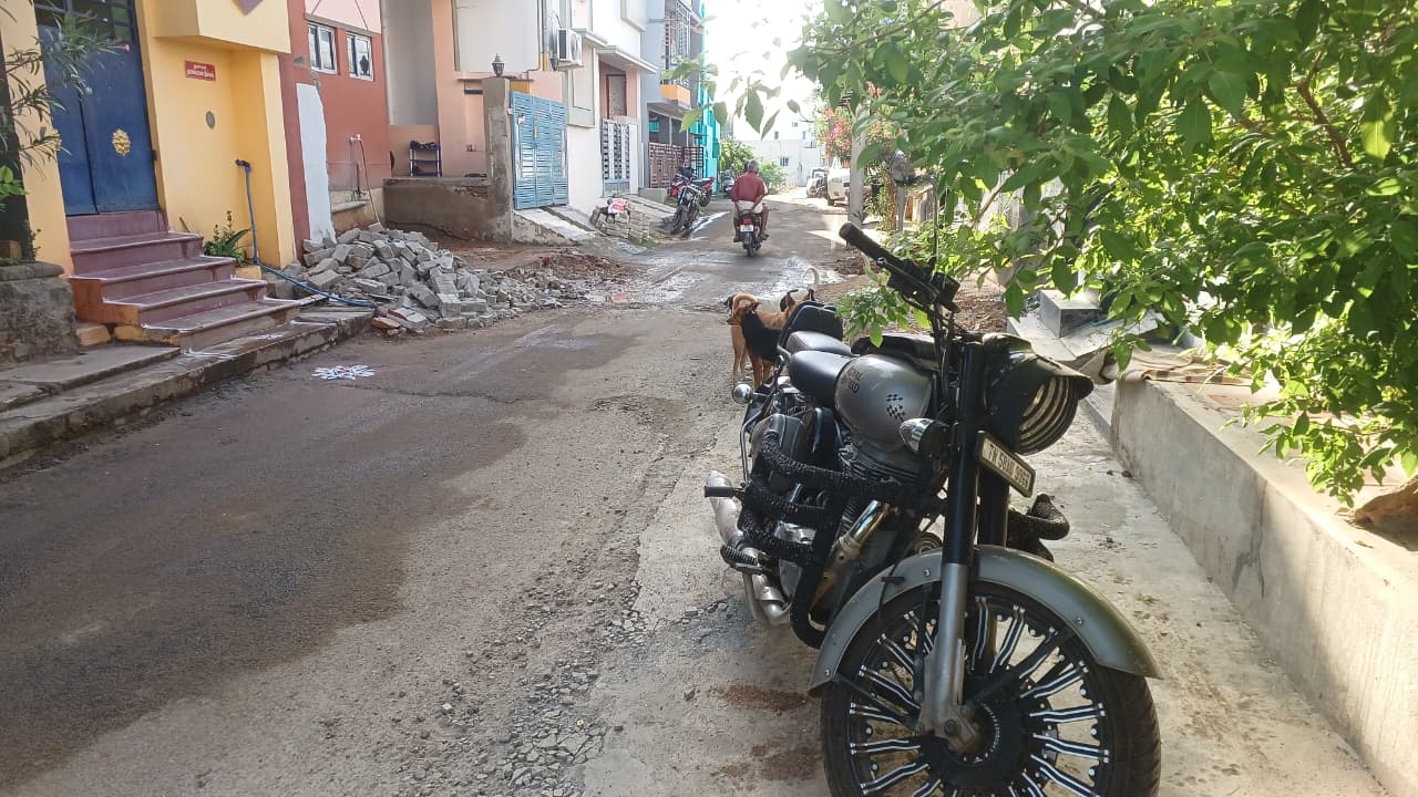 நாய்கள் தொல்லை குழந்தைகள் முதல் பெரியவர்கள் அச்சம்..,